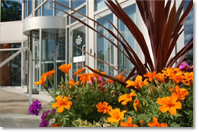 OLM Services