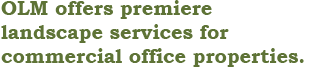 Services OLM